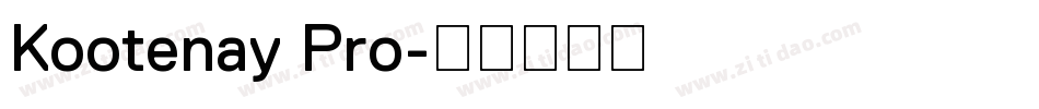 Kootenay Pro字体转换